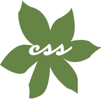 CSS