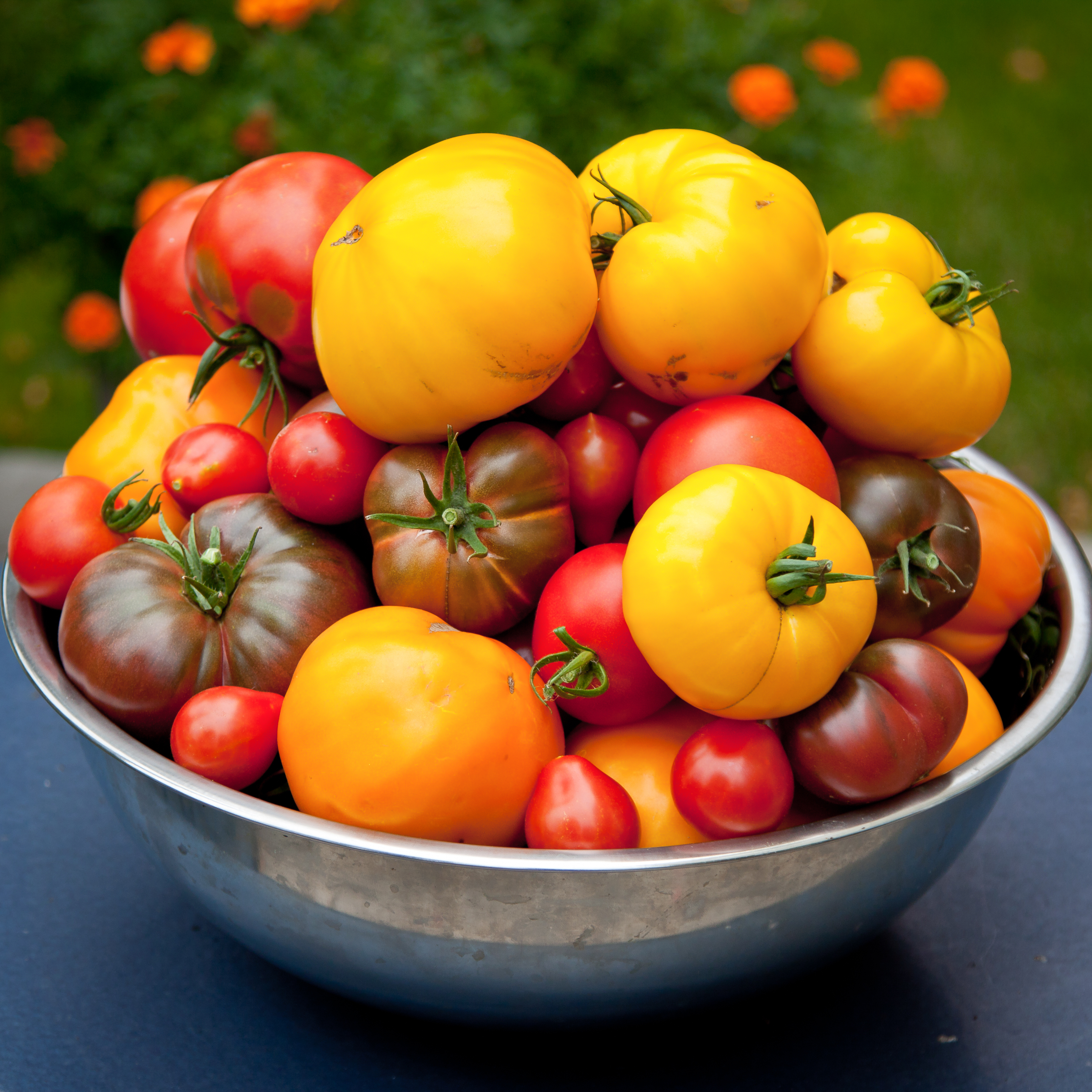 Heirloom Tomatoes