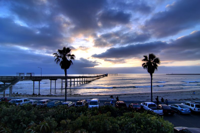 Ocean Beach Palms at Sunset