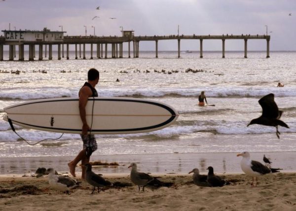 Ocean Beach surfer with pier in distance