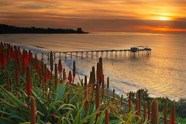 Scripps Pier Cliffs outlook with pier in distance