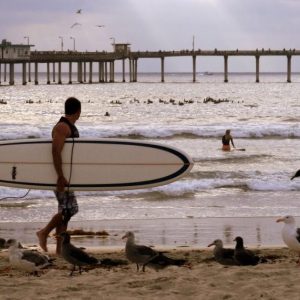 Ocean Beach surfer with pier in distance